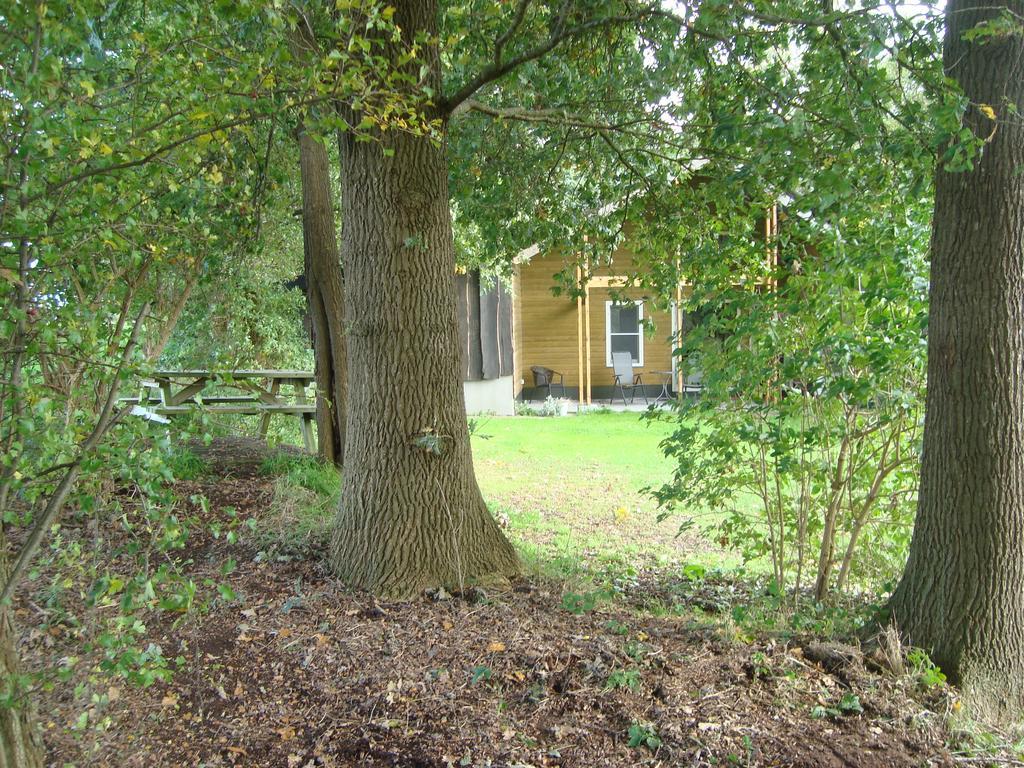 Apartment 'T Zwaluwnest Luttenberg Rom bilde